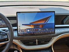 Denza D9 DM-i 980 AWD Luxury - ფოტო 16