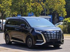 Denza D9 DM-i 980 AWD Luxury - ფოტო 3