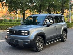 Baojun Yueye Plus 301km Flagship Edition - ფოტო 1