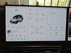 Li Auto L9 Max - ფოტო 9