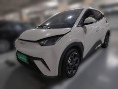 BYD Seagull 305km Freedom Edition - photo 1
