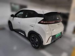 BYD Seagull 305km Freedom Edition - photo 4