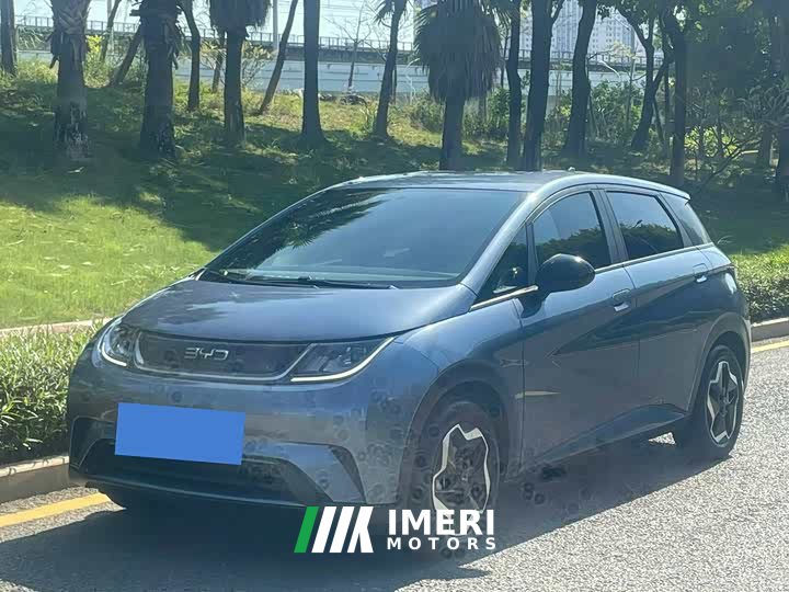 BYD Dolphin 420km Vitality Edition - ავტომობილი ჩინეთიდან