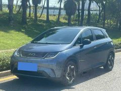 BYD Dolphin 420km Vitality Edition - ფოტო 1
