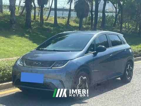 2024 BYD Dolphin 420km Vitality Edition