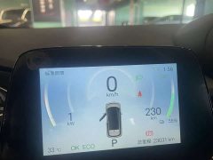 BYD Dolphin 420km Vitality Edition - ფოტო 10