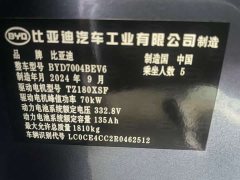 BYD Dolphin 420km Vitality Edition - ფოტო 11