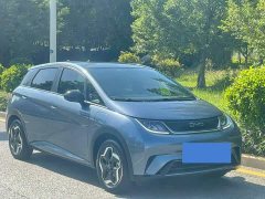 BYD Dolphin 420km Vitality Edition - ფოტო 3