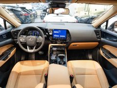 Lexus NX 200 Stunning Limited Edition - ფოტო 13