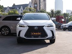 Lexus NX 200 Stunning Limited Edition - ფოტო 2