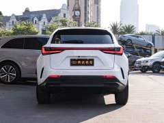 Lexus NX 200 Stunning Limited Edition - ფოტო 5