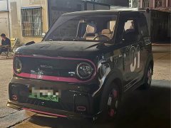 Geely Panda 210km Panda Kart - photo 1