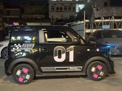 Geely Panda 210km Panda Kart - photo 3
