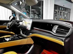 Denza D9 DM-i 980 Four-Wheel Drive Premium - ფოტო 6