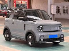 Geely Panda 200km Panda Kart - ფოტო 3