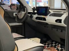 Geely Panda 200km Panda Kart - ფოტო 4