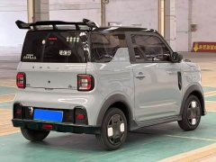 Geely Panda 200km Panda Kart - ფოტო 7