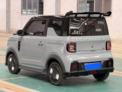 Geely Panda 200km Panda Kart - ფოტო 9