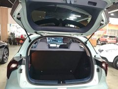 Geely Geometry E Firefly 401KM Thunder Tiger 4-Seater - ფოტო 18