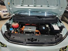 Geely Geometry E Firefly 401KM Thunder Tiger 4-Seater - ფოტო 19