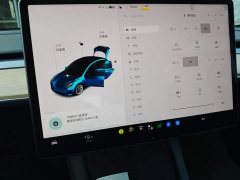 Tesla Model 3 Facelift Standard Range RWD Upgrade 3D1 - ფოტო 11