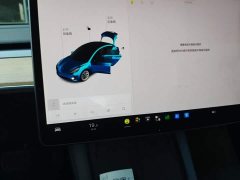 Tesla Model 3 Facelift Standard Range RWD Upgrade 3D1 - ფოტო 12