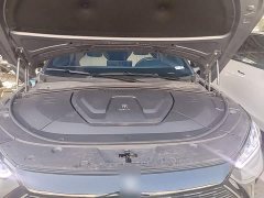 BYD Song Plus New Energy DM-i 110KM Flagship - ფოტო 19