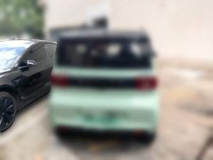 Wuling Hongguang MINIEV Macaron Fashion Edition LFP - photo 3