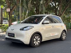 Wuling Binguo 333km Lingxi Connected Edition - фото 1