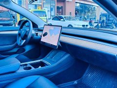 Tesla Model 3 Standard Range RWD Upgrade - ფოტო 10