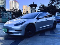 Tesla Model 3 Standard Range RWD Upgrade - ფოტო 3