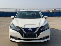 Nissan EV Edition - ფოტო 2