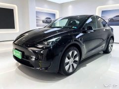 Tesla Model Y Rear-Wheel Drive - ფოტო 1