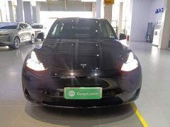 Tesla Model Y Rear-Wheel Drive - ფოტო 2