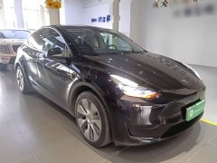 Tesla Model Y Rear-Wheel Drive - ფოტო 3