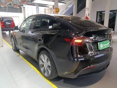 Tesla Model Y Rear-Wheel Drive - ფოტო 4
