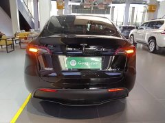 Tesla Model Y Rear-Wheel Drive - ფოტო 5