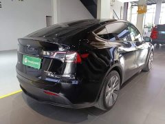 Tesla Model Y Rear-Wheel Drive - ფოტო 6