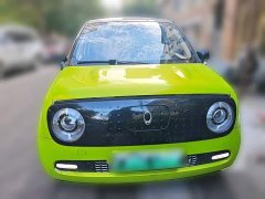 ORA Black Cat 351km Luxury - ფოტო 2