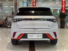 BYD Dolphin 405km Fashion Edition - ფოტო 14