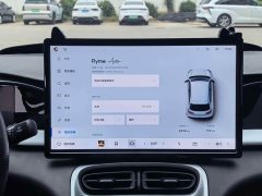 Geely Xing Yuan 310km Dream Edition - ფოტო 10
