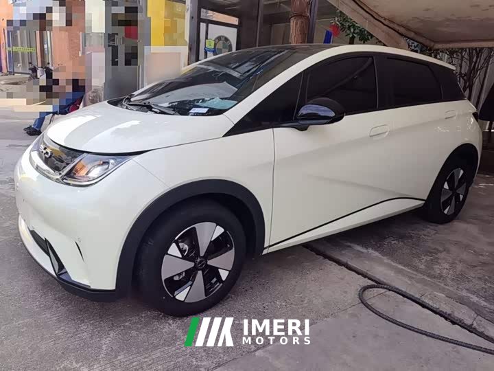 BYD Dolphin 420km Fashion Edition - ავტომობილი ჩინეთიდან