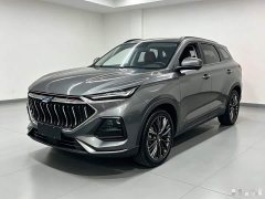Changan Oushan X5 1.5T DCT Premier - photo 1