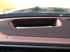 Mercedes-Benz Maybach GLS 600 4MATIC Prestige Edition - ფოტო 11