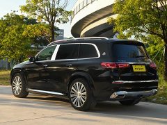 Mercedes-Benz Maybach GLS 600 4MATIC Prestige Edition - ფოტო 4