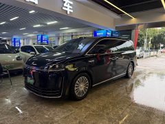 Luxeed Zhiji V9 Max - ფოტო 1