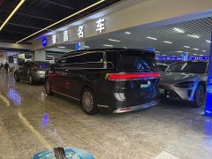 Luxeed Zhiji V9 Max - ფოტო 7