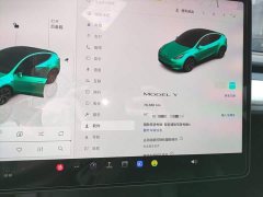 Tesla Model Y Rear-Wheel Drive - ფოტო 11