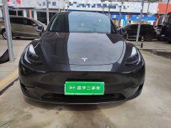 Tesla Model Y Rear-Wheel Drive - ფოტო 2