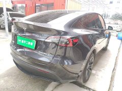 Tesla Model Y Rear-Wheel Drive - ფოტო 6